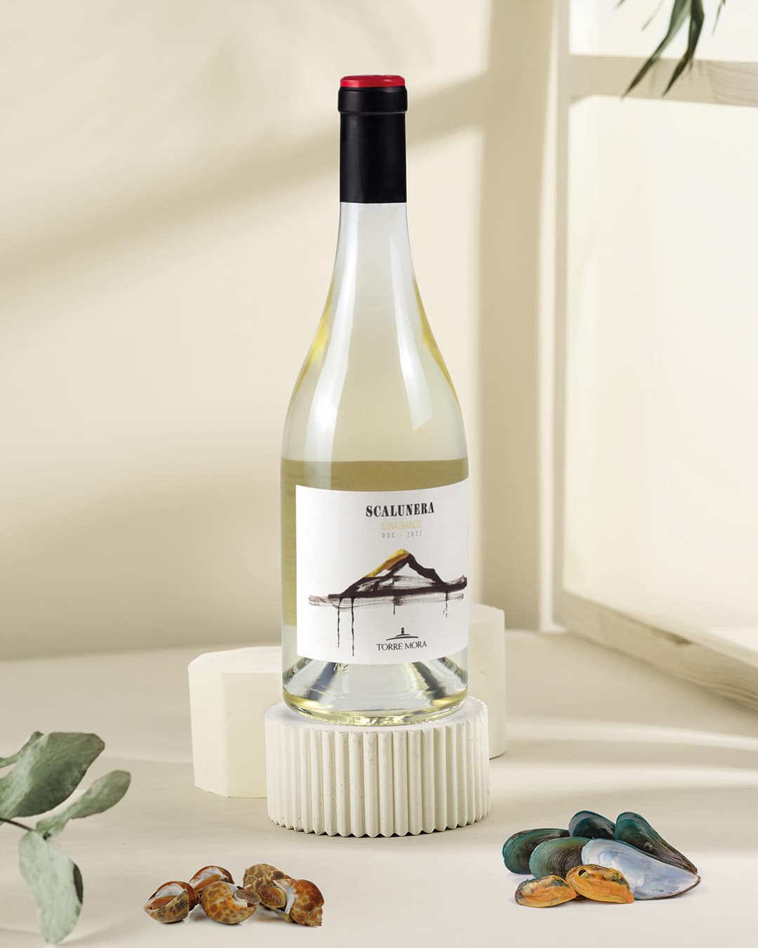 Scalunera bianco - ok